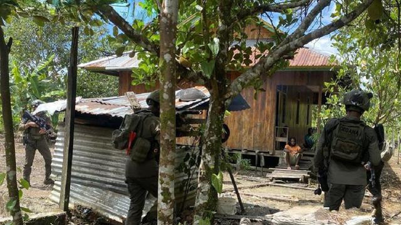 Anggota KKB Meno Heluka ditangkap (Dok: Antara)