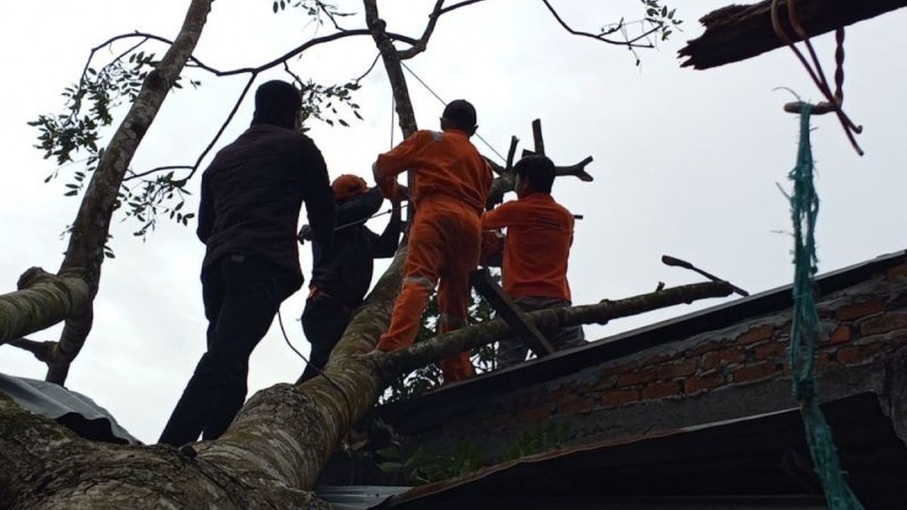 BPBD Rejang Lebong mengajak masyarakat meningkatkan kewaspadaan terhadap potensi angin kencang yang melanda wilayah itu, menyusul beberapa insiden pohon tumbang dan kerusakan rumah.