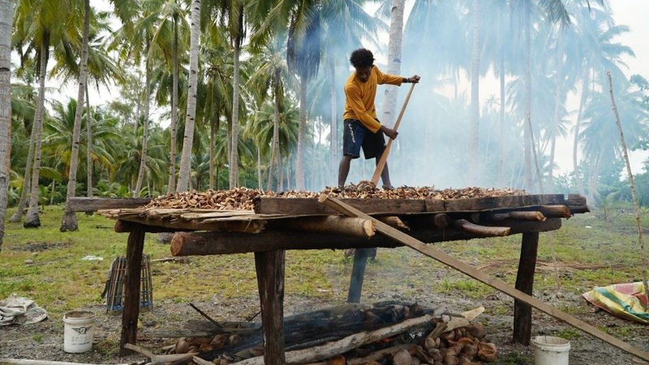 Koperasi Merah Putih Pam di Raja Ampat berhasil mengirimkan 10,5 ton kopra ke Surabaya pada Januari 2026, menandai langkah signifikan dalam perluasan pemasaran produk petani lokal ke tingkat nasional.