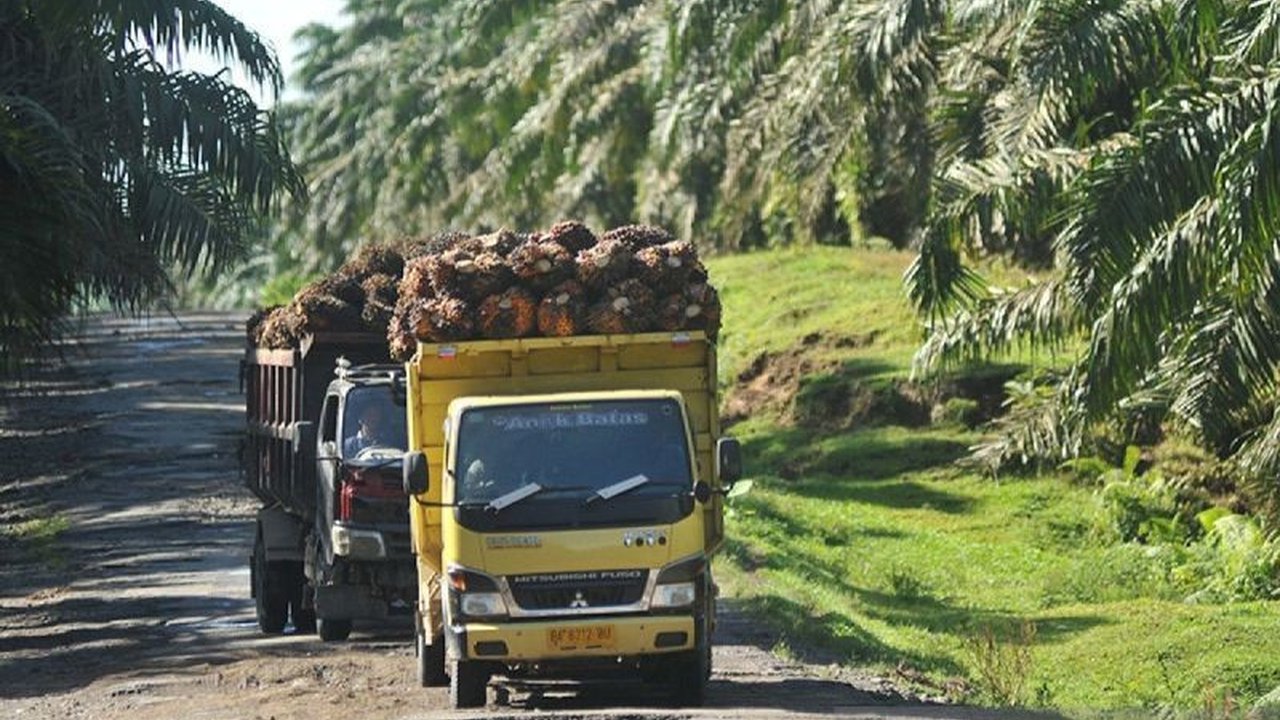 Gabungan Pengusaha Kelapa Sawit Indonesia (GAPKI) memproyeksikan volume Ekspor Sawit ke AS dapat tembus 3 juta ton dalam beberapa tahun ke depan jika tarif nol persen kembali diberlakukan, membuka peluang besar bagi industri sawit nasional.
