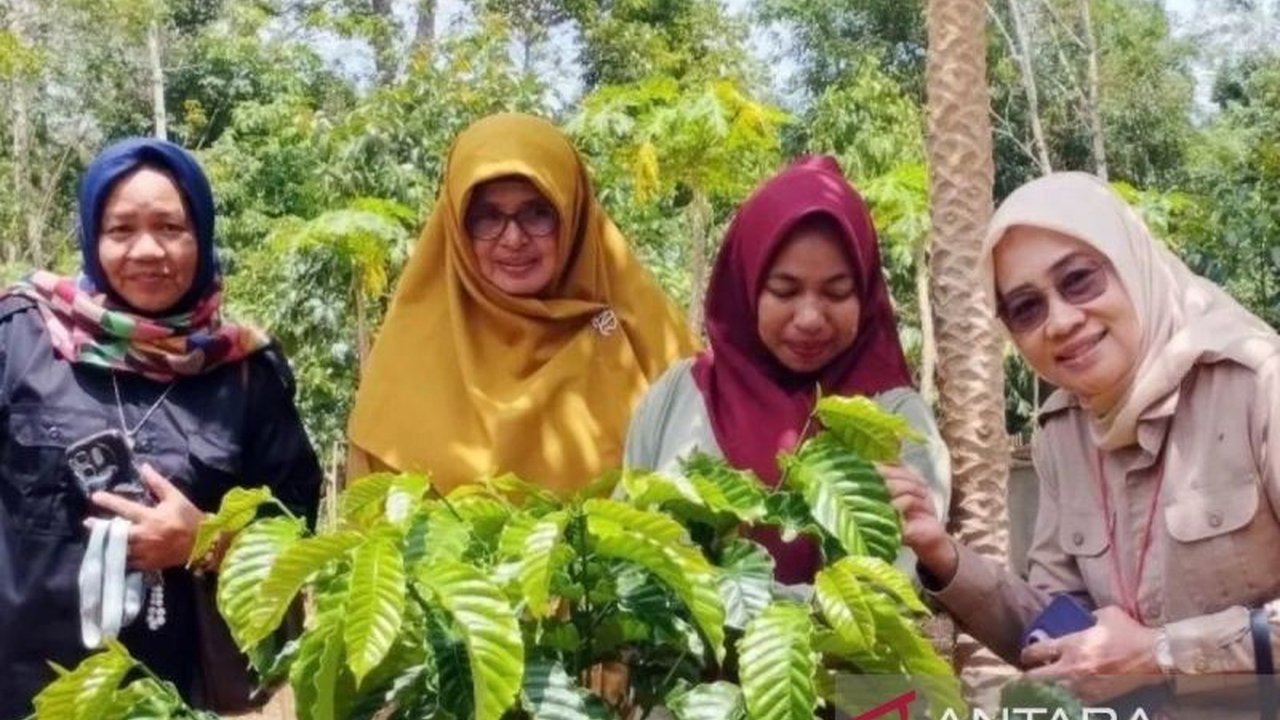 Dinas Perkebunan dan Peternakan Kalsel meluncurkan program Bangkodin untuk memperkuat pengembangan kopi Kalsel. Bagaimana strategi diversifikasi terintegrasi ini akan mendongkrak nilai tambah dan daya saing kopi rakyat?