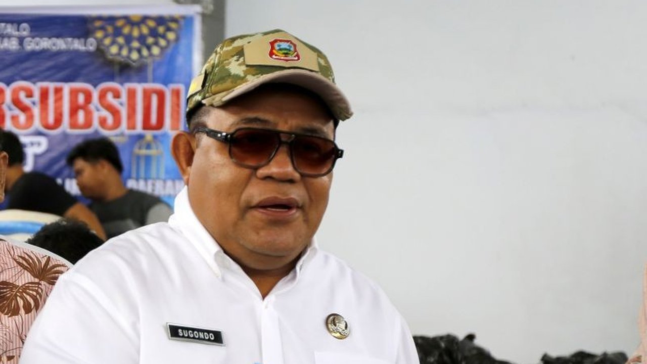Pemkab Gorontalo mematangkan peluncuran 12 Organisasi Perangkat Daerah (OPD) sebagai pengampu UMKM, bertujuan mengakselerasi pertumbuhan ekonomi kerakyatan melalui pendampingan terintegrasi dan spesifik.