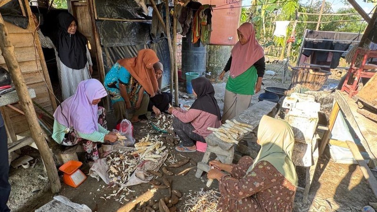 Kelompok Wanita Tani Embun Pagi berhasil meningkatkan nilai jual singkong dengan mengolahnya menjadi Tepung Mocaf, produk bebas gluten yang berdaya saing tinggi di pasar.
