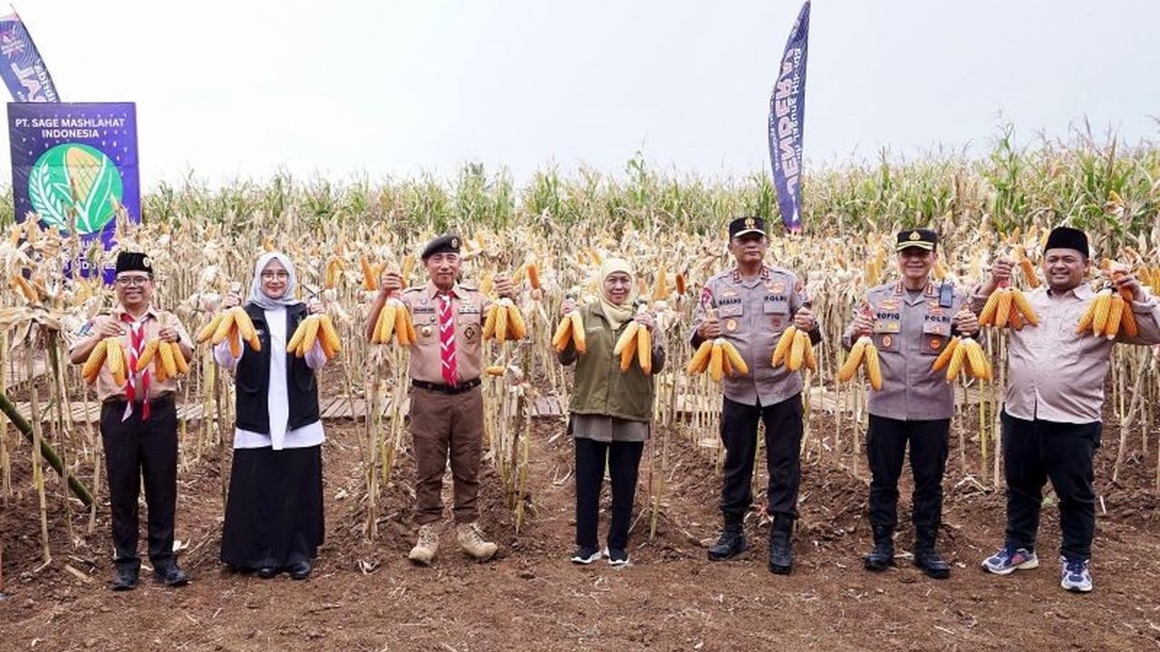 Gubernur Khofifah Indar Parawansa menegaskan Jawa Timur menjadi kontributor jagung tertinggi di Indonesia, dengan produksi mencapai 4,8 juta ton, hasil kolaborasi berbagai pihak.
