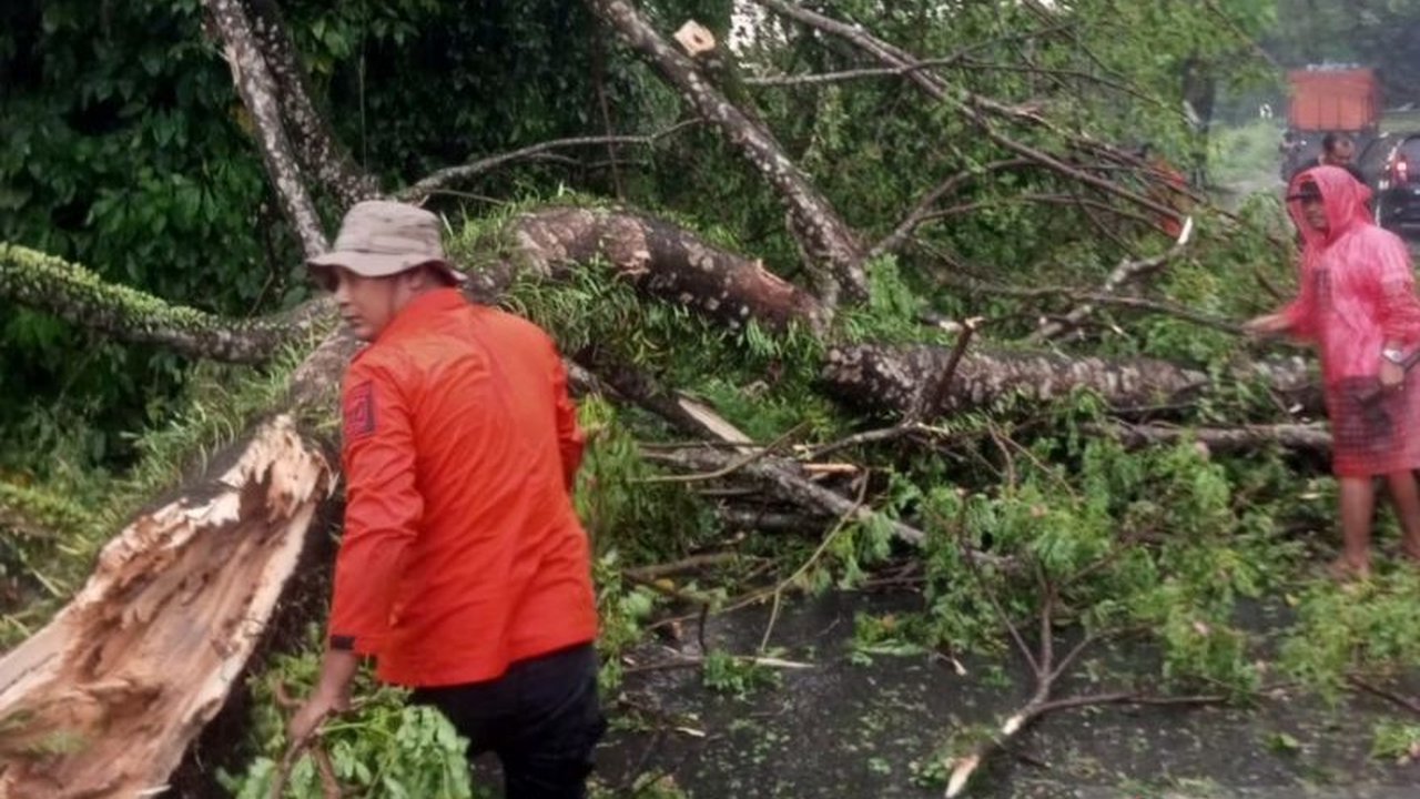 Badan Nasional Penanggulangan Bencana (BNPB) melaporkan dampak cuaca ekstrem Binjai berupa hujan deras dan angin kencang meluas hingga lima kecamatan, menyebabkan puluhan rumah rusak dan 22 KK terdampak.