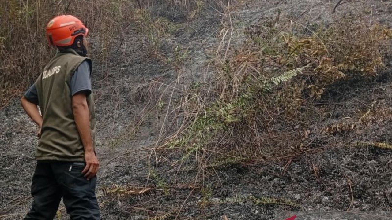 Karhutla Parigi Moutong melanda dua hektare lahan mineral di Desa Lobu Mandiri. BNPB dan BPBD terus berupaya memadamkan api, sementara penyebab kebakaran masih diselidiki, membuat pembaca penasaran akan perkembangan selanjutnya.