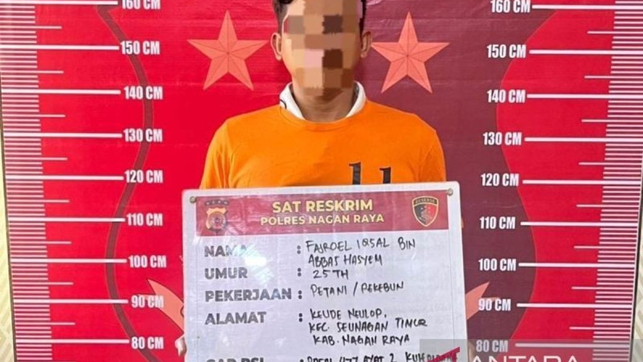Polres Nagan Raya berhasil menahan seorang pria berinisial FI atas dugaan pencurian kelapa sawit milik PT Fajar Baizury. Pelaku pencurian kelapa sawit ini sempat mengancam petugas dengan senapan angin.