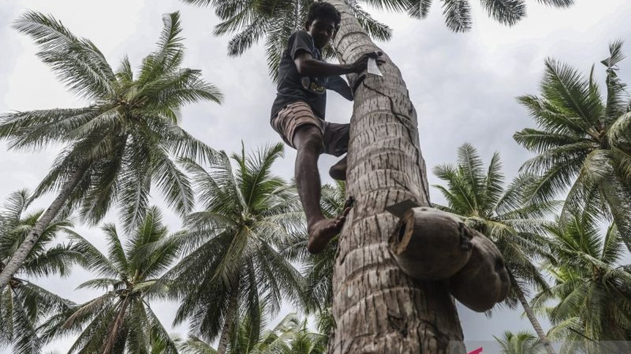 Ekonomi sirkular kelapa rakyat membuka potensi besar bagi desa-desa pesisir di Indonesia. Dari sabut hingga tempurung, setiap bagian kelapa dapat diolah menjadi produk bernilai tambah, meningkatkan kesejahteraan dan keberlanjutan lingkungan.