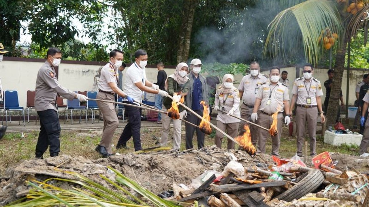 Karantina Kalbar memusnahkan ribuan kilogram komoditas ilegal yang berpotensi membawa penyakit berbahaya. Simak detail Pemusnahan Komoditas Ilegal Karantina Kalbar ini untuk memahami ancaman dan langkah pencegahannya.