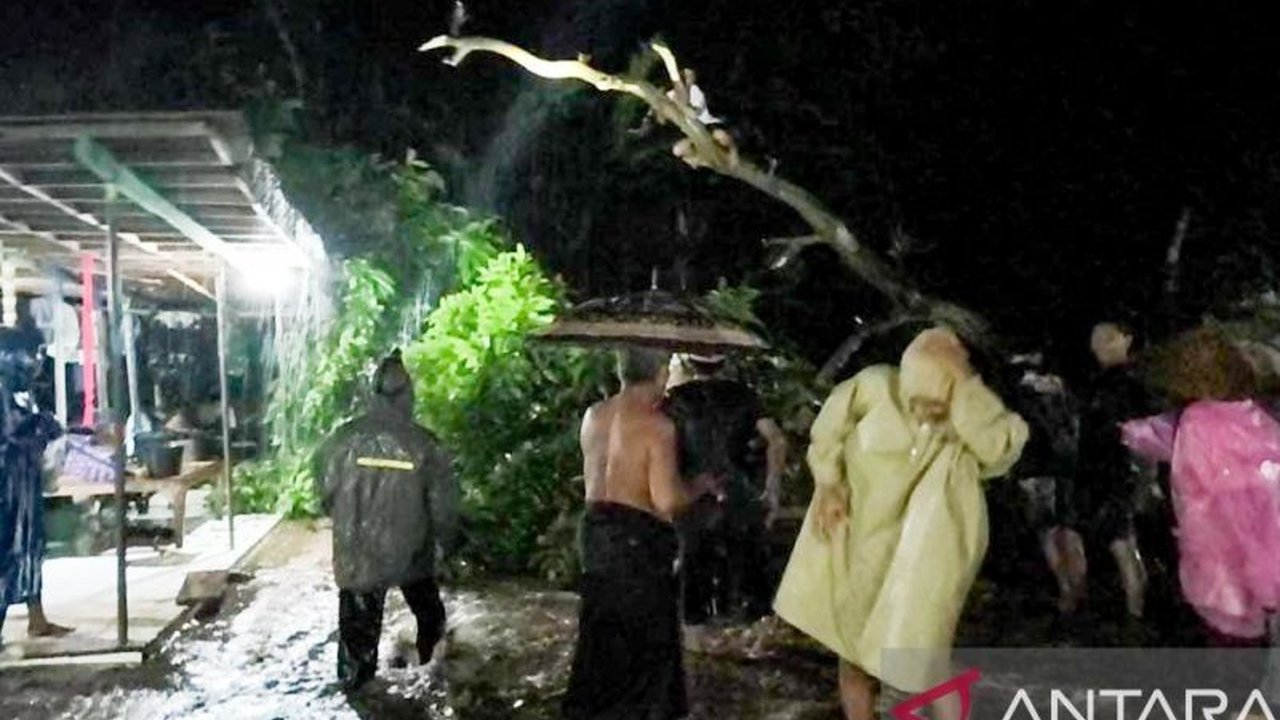 Banjir Situbondo kembali melanda Desa Bungatan, merendam puluhan rumah warga setelah hujan deras memicu luapan Sungai Curah Udang. Simak penyebab dan dampaknya di sini.