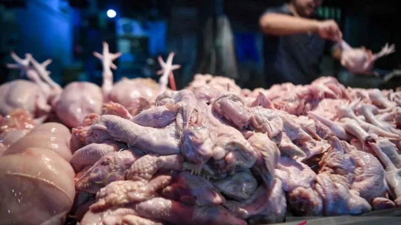 Pantauan Pusat Informasi Harga Pangan Strategis Nasional (PIHPS) menunjukkan fluktuasi harga pangan nasional pada Minggu pagi. Daging ayam ras dan cabai rawit merah mengalami kenaikan signifikan, sementara komoditas lain juga bergerak.