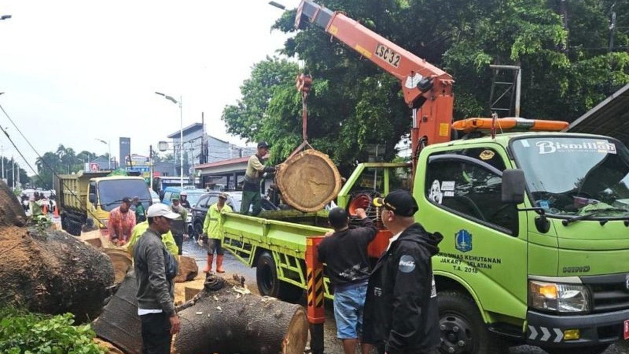 Pemerintah Kota Jakarta Selatan (Pemkot Jaksel) memberikan santunan sebesar Rp50 juta kepada keluarga korban jiwa akibat pohon tumbang di Lenteng Agung, menegaskan komitmen pemerintah daerah dalam penanganan bencana dan perlindungan warga.
