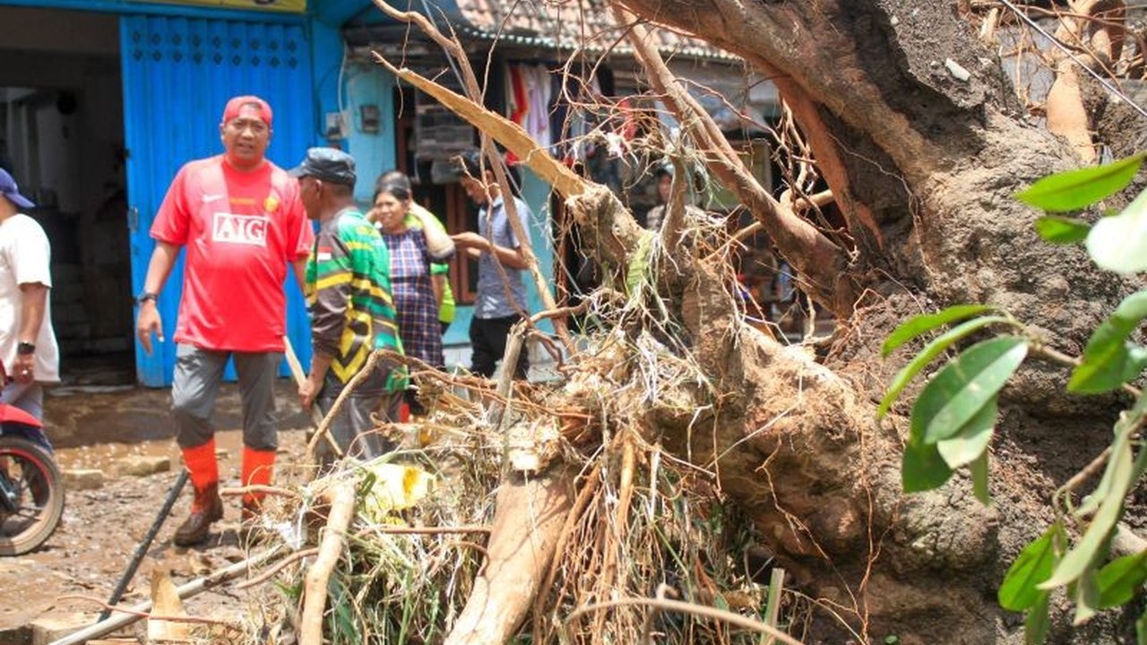 Banjir Situbondo akibat luapan sungai menerjang ribuan rumah dan menyebabkan dua warga dilaporkan hilang, mendorong pemerintah daerah meningkatkan status tanggap darurat.
