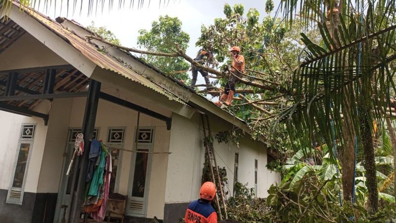 Badan Penanggulangan Bencana Daerah (BPBD) Ciamis mencatat 114 kerusakan rumah akibat cuaca ekstrem yang melanda, dengan penanganan perbaikan akan segera dikoordinasikan untuk memastikan warga kembali aman.