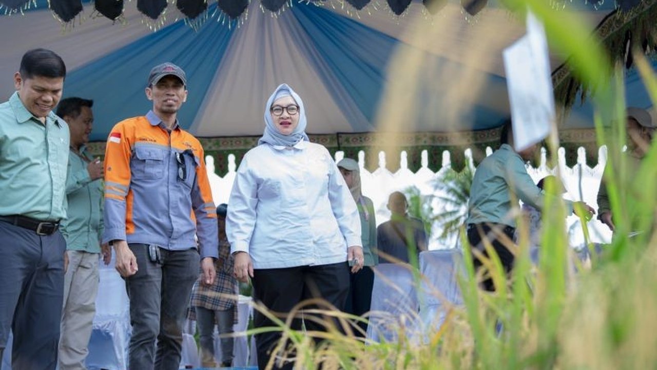 Kabupaten Kolaka di Sulawesi Tenggara diharapkan menjadi lumbung pangan utama untuk mendukung swasembada beras nasional, mengingat potensi lahan pertaniannya yang subur, sesuai harapan Kemenko Pangan.