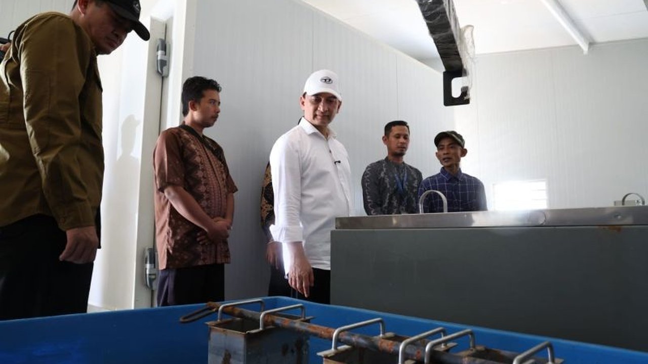 Pemerintah Provinsi Banten melakukan modernisasi Kampung Nelayan Merah Putih (KNMP) di Pandeglang, sebuah langkah strategis untuk meningkatkan taraf hidup nelayan dan mengatasi tantangan operasional mereka.