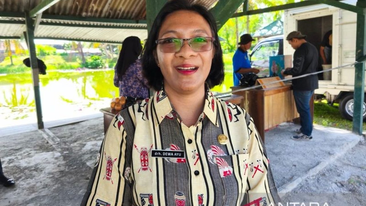 Dinas Peternakan dan Perkebunan Kabupaten Nabire memulai program pemulihan populasi babi setelah wabah African Swine Fever (ASF) yang mematikan, berupaya mengatasi kerugian peternak dan menstabilkan harga daging di wilayah tersebut.
