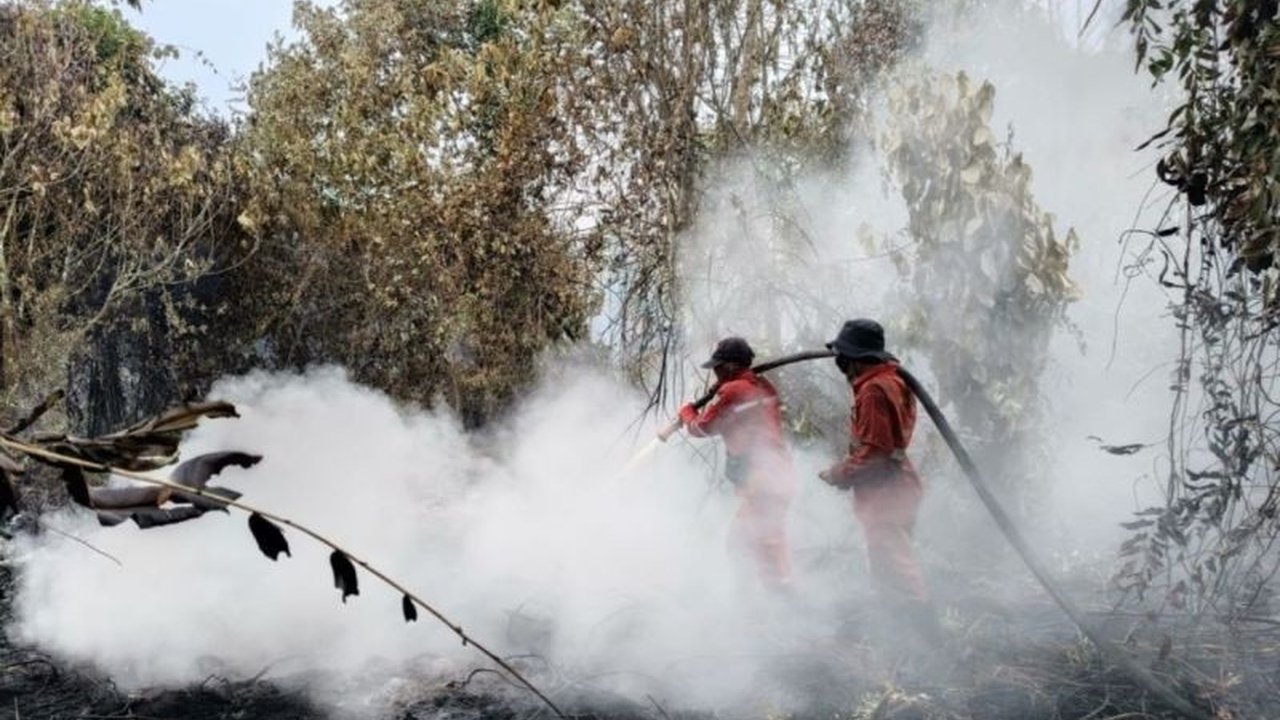 Karhutla Kampar seluas 15 hektare di Desa Rimbo Panjang terus dipadamkan tim gabungan. Namun, pemadaman terkendala lahan gambut dan akses air, mampukah api segera dikendalikan?