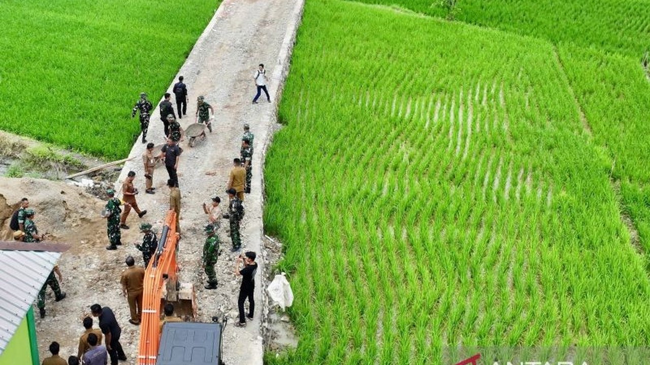 Pembangunan Jalan Tani Hambuku Hulu oleh Satgas TMMD ke-127 membawa harapan baru bagi petani di Hulu Sungai Utara. Akses panen kini lebih mudah, meningkatkan produktivitas dan kesejahteraan warga.
