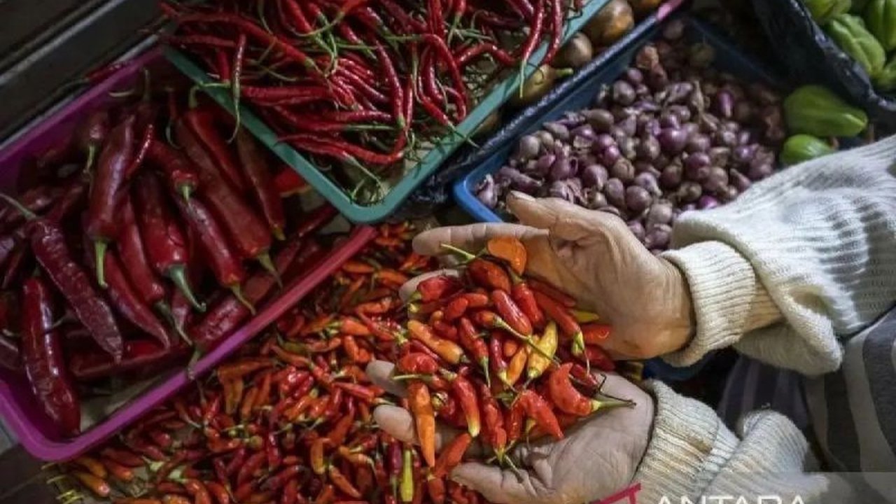 Pusat Informasi Harga Pangan Strategis (PIHPS) Nasional merilis data terbaru harga komoditas pangan. Ketahui update Harga Pangan PIHPS terkini mulai dari cabai rawit hingga daging ayam yang melonjak, penting untuk stabilitas ekonomi rumah tangga.