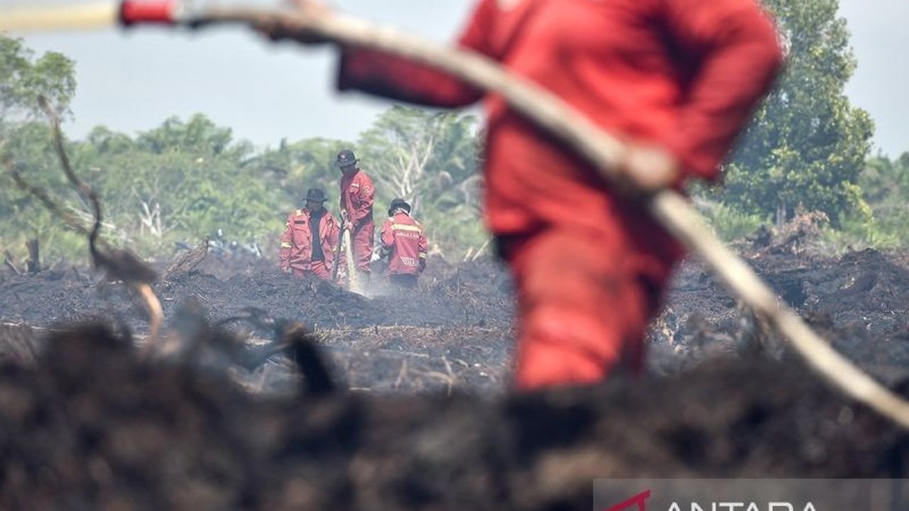 Tim gabungan terus berupaya memadamkan kebakaran lahan gambut di Batanghari, Jambi, yang telah melanda sekitar 5 hektare, menyoroti kerentanan Karhutla Jambi.