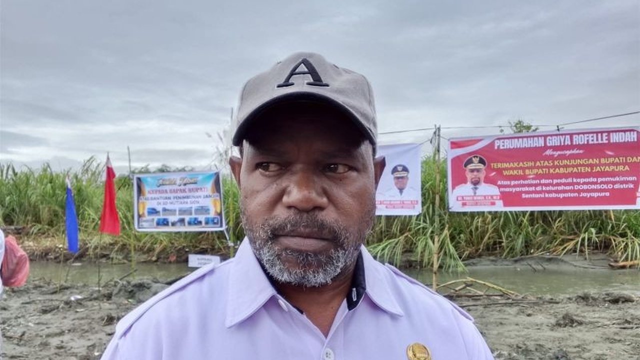 Dinas Lingkungan Hidup Kabupaten Jayapura segera melakukan Pemangkasan Pohon Sentani di ruas jalan utama demi menjaga keindahan kota dan keselamatan pengguna jalan, terutama menjelang Festival Danau Sentani.