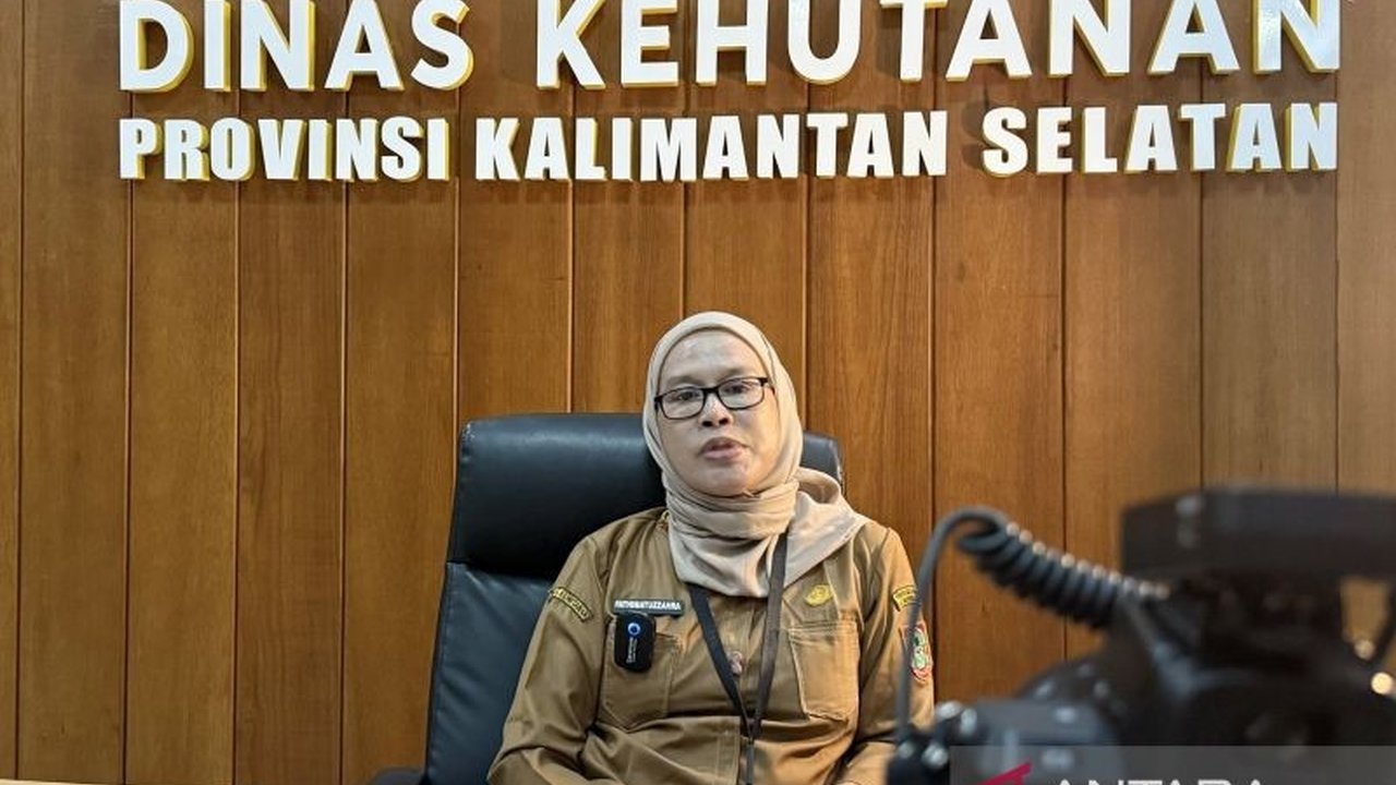 Dinas Kehutanan Kalimantan Selatan (Dishut Kalsel) memanfaatkan pendanaan internasional untuk mempercepat pemulihan lahan kritis dan peningkatan tutupan hutan, terutama melalui program FOLU Net Sink 2030 di tengah keterbatasan anggaran.
