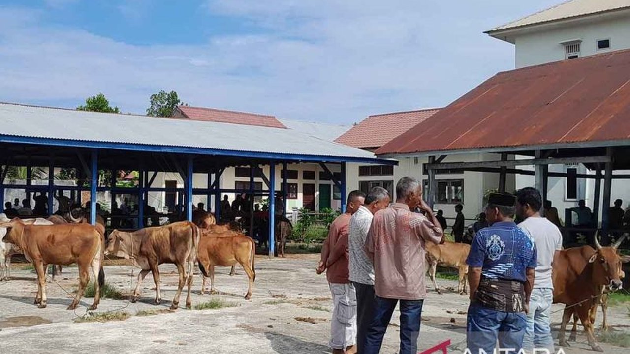 Perdagangan ternak di Pasar Hewan Cot Iri, Aceh Besar, melonjak signifikan menjelang tradisi Meugang Idul Fitri 2026, memicu kenaikan harga dan kekhawatiran pasokan akibat bencana. Simak selengkapnya mengenai dinamika Perdagangan Ternak Aceh Besar.