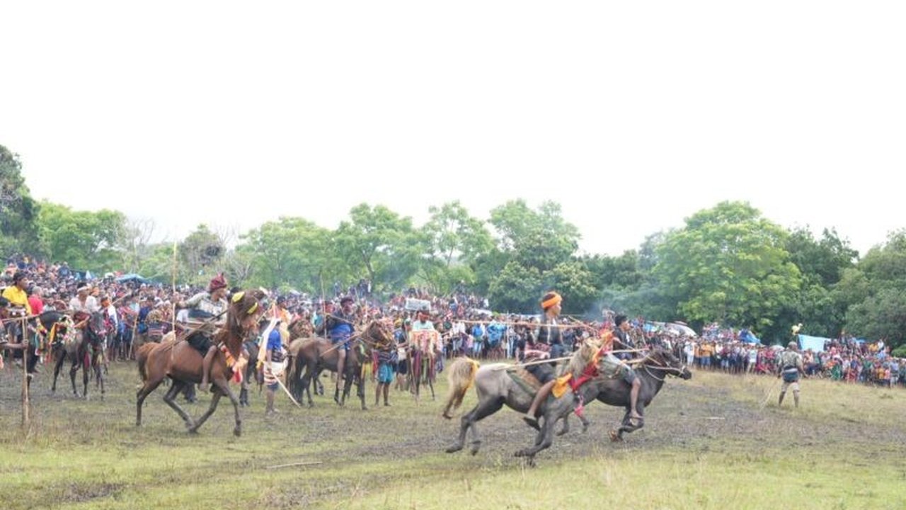 Atraksi budaya Pasola Gaura di Sumba Barat memiliki potensi besar sebagai penggerak ekonomi daerah melalui pariwisata dan pemasaran produk lokal. Wakil Gubernur NTT Johanis Asadoma menegaskan pentingnya pelestarian tradisi ini.