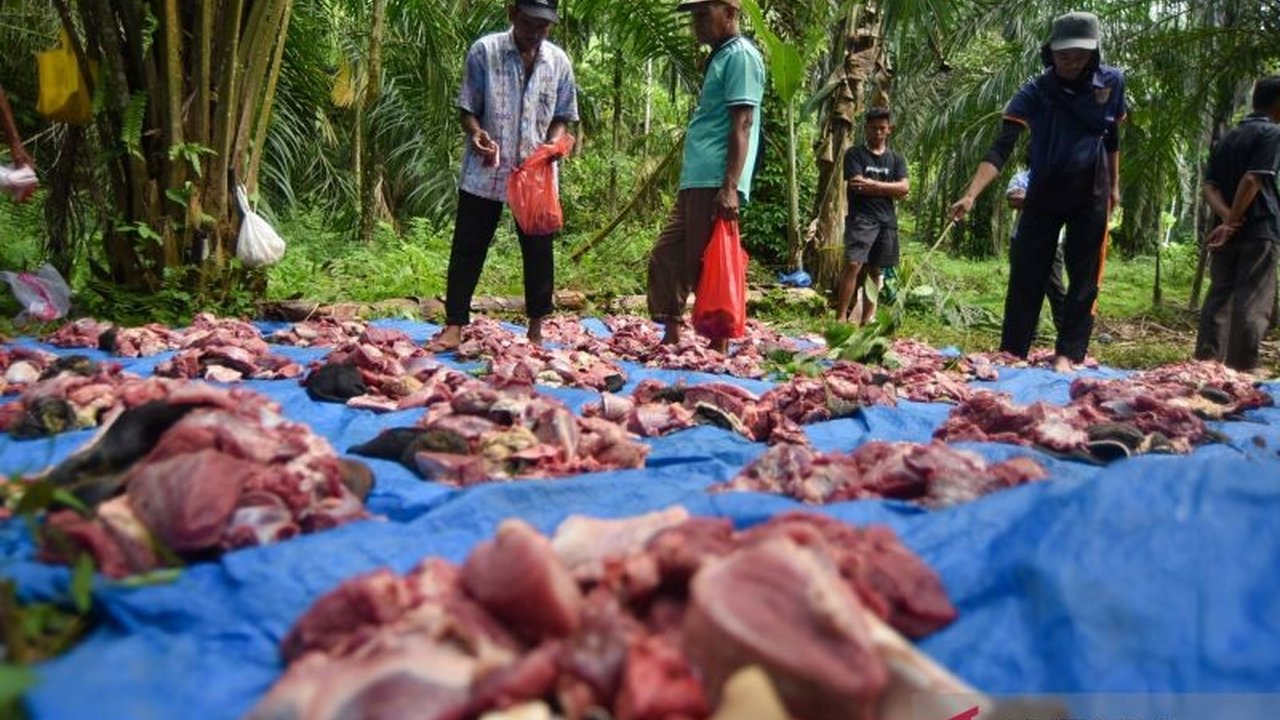 Di tengah duka akibat bencana, masyarakat Palembayan, Agam, tetap teguh menjalankan Tradisi Mahantam sebagai wujud gotong royong dan penguat semangat jelang Lebaran.