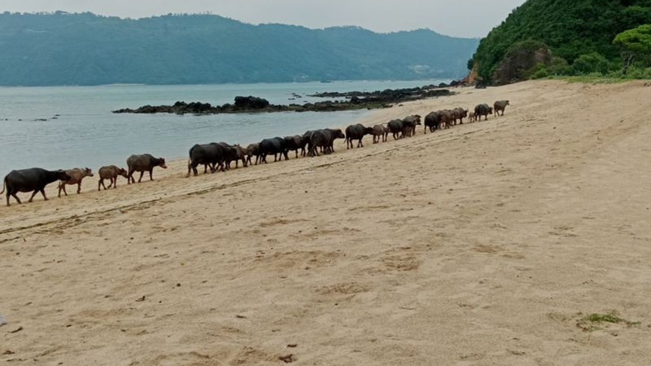Bupati Lombok Tengah, Lalu Pathul Bahri, menginstruksikan peningkatan pengawasan pengelolaan wisata dan pelayanan selama libur Lebaran 2026 demi kenyamanan, keamanan, dan citra positif destinasi.