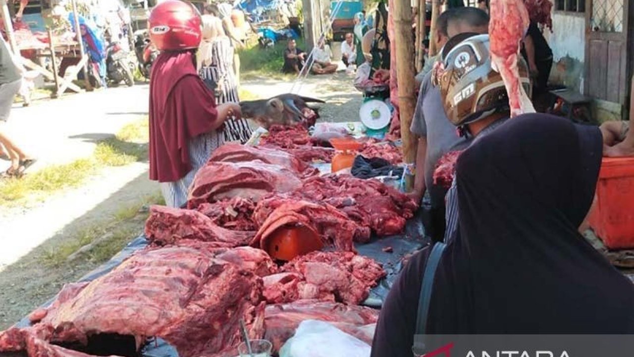 Pemerintah Kabupaten Simeulue kembali menerima Bantuan Sapi Presiden Prabowo senilai Rp250 juta untuk tradisi Meugang Idul Fitri 1447 H. Bantuan ini didistribusikan ke sepuluh kecamatan, meringankan beban masyarakat di wilayah kepulauan terluar Aceh.