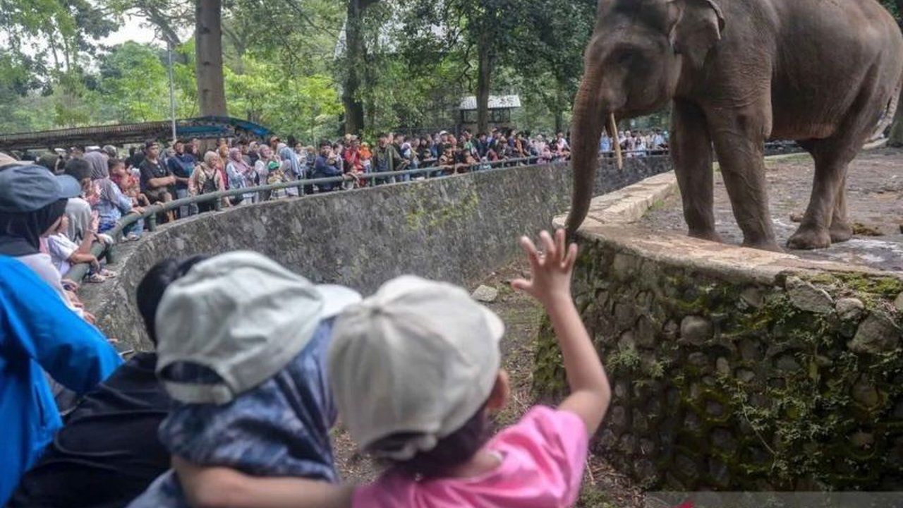 Taman Margasatwa Ragunan mencatat lonjakan signifikan Pengunjung Ragunan Lebaran pada H+2, mencapai lebih dari 80.000 orang, melebihi angka hari sebelumnya dan menunjukkan daya tarik wisata yang kuat.