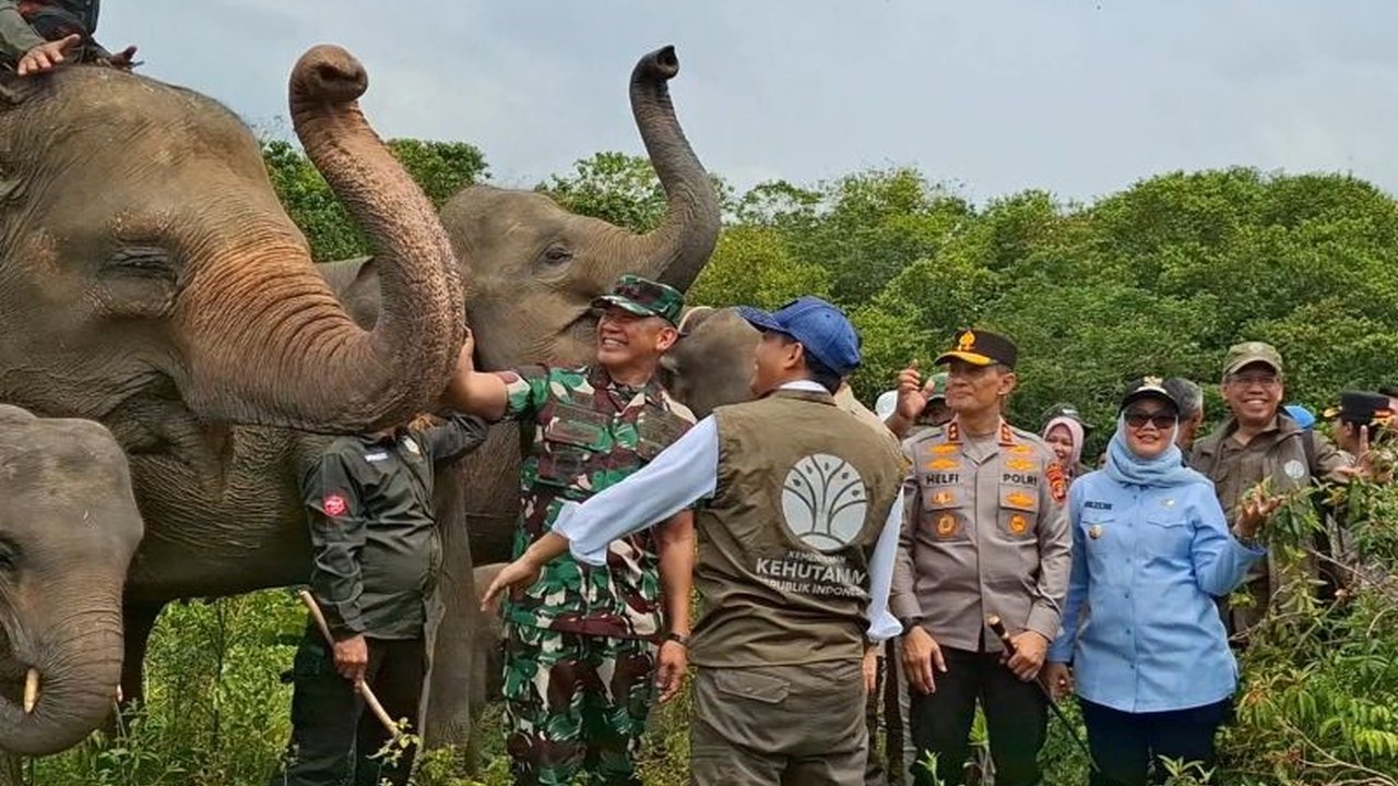 Pembangunan pembatas di Taman Nasional Way Kambas (TNWK) membawa era baru konservasi di Lampung Timur, sekaligus meningkatkan ekonomi masyarakat desa penyangga.