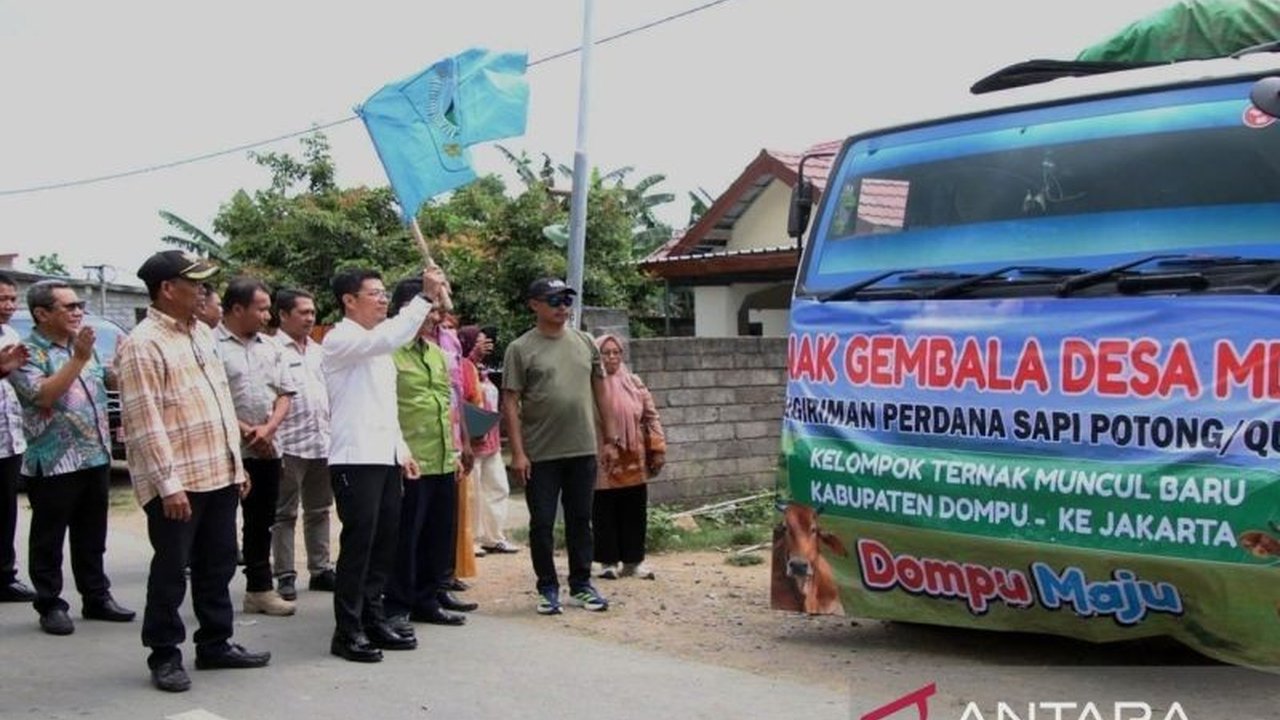 Kabupaten Dompu, Nusa Tenggara Barat, kembali mengirimkan 107 ekor Sapi Kurban Dompu ke Jakarta untuk Idul Adha 1447 H, membuktikan kualitas ternak dan memperkuat pasokan nasional.