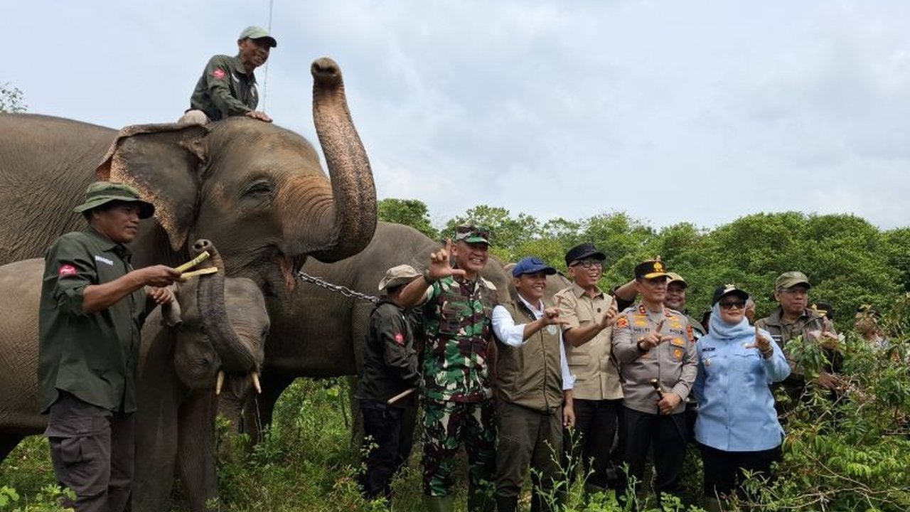 Taman Nasional Way Kambas (TNWK) ditunjuk sebagai proyek percontohan pendanaan iklim inovatif. Inisiatif ini bertujuan menciptakan sistem pembiayaan konservasi yang berkelanjutan, melibatkan sektor swasta dan pasar modal hijau, serta memberdayakan masyara