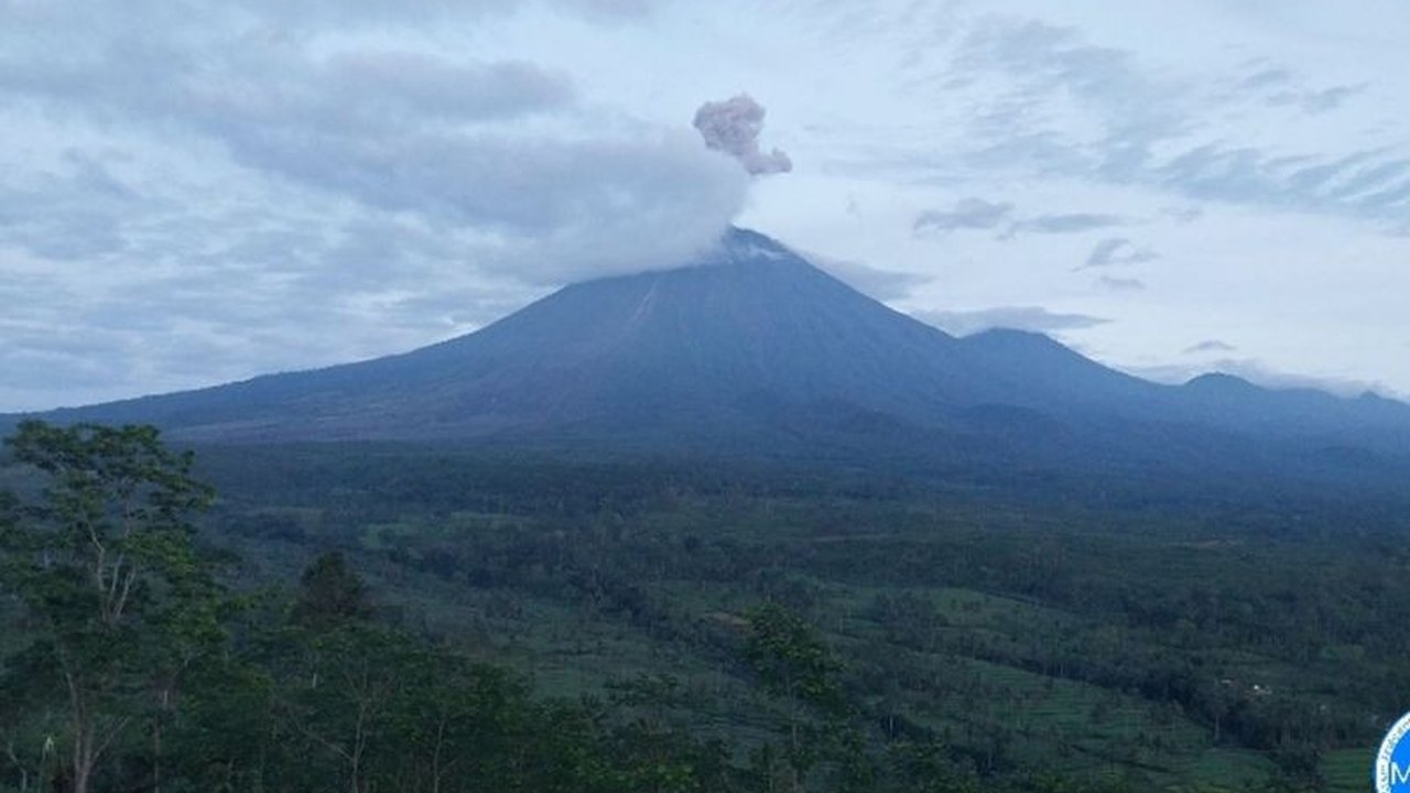 Gunung Semeru di Jawa Timur kembali menunjukkan aktivitas vulkaniknya dengan dua kali erupsi pagi ini, melontarkan kolom abu hingga 1.000 meter. Warga diimbau untuk waspada dan mematuhi rekomendasi PVMBG terkait Erupsi Gunung Semeru.