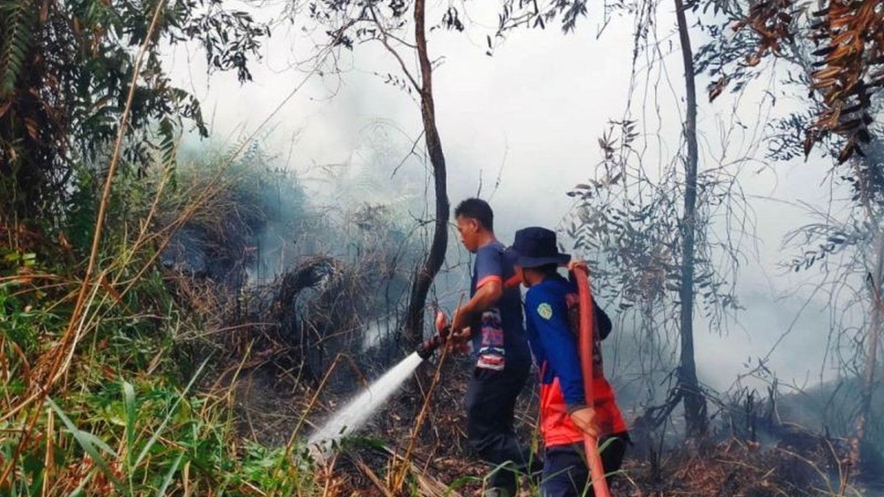 Badan Meteorologi, Klimatologi, dan Geofisika (BMKG) Stasiun Balikpapan mengeluarkan peringatan dini terkait potensi Karhutla Kaltim. Sebanyak 171 titik panas terdeteksi di enam kabupaten/kota, memicu kekhawatiran akan kebakaran hutan dan lahan.