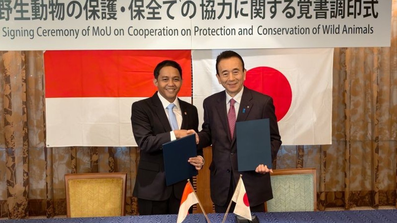 Indonesia dan Jepang mempererat hubungan melalui Kerja Sama Konservasi Komodo, menandai langkah maju dalam diplomasi hijau dan pelestarian keanekaragaman hayati. Apa saja poin pentingnya?