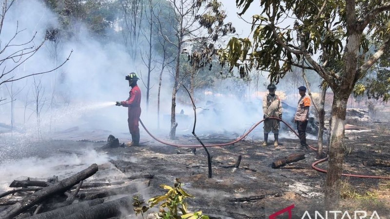 Pemerintah Kota Tanjungpinang menetapkan status siaga Karhutla menyusul peningkatan kasus kebakaran hutan dan lahan. Cuaca panas dan keterbatasan air menjadi tantangan serius, mendorong imbauan kewaspadaan kepada masyarakat Tanjungpinang.