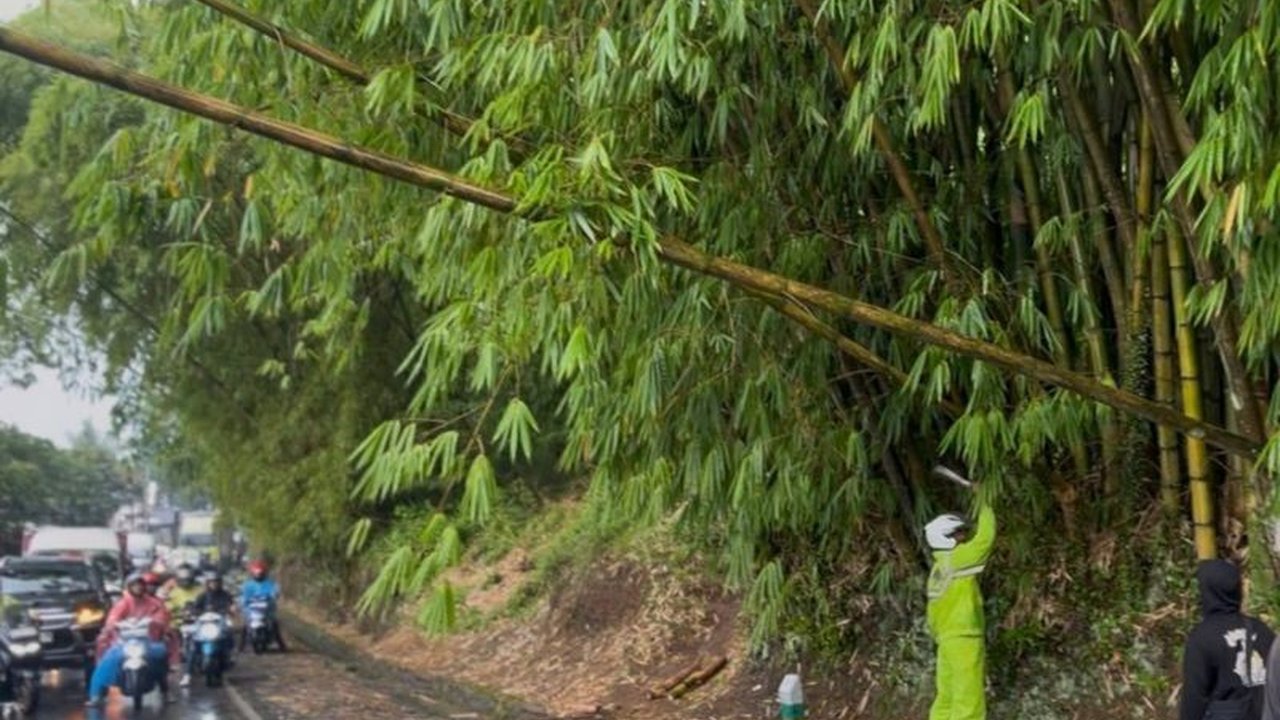 Hujan deras dan angin kencang menyebabkan pohon tumbang Garut Bandung, menutup akses jalan utama. Berkat gerak cepat tim gabungan, jalur vital ini kembali normal. Simak detail evakuasinya!