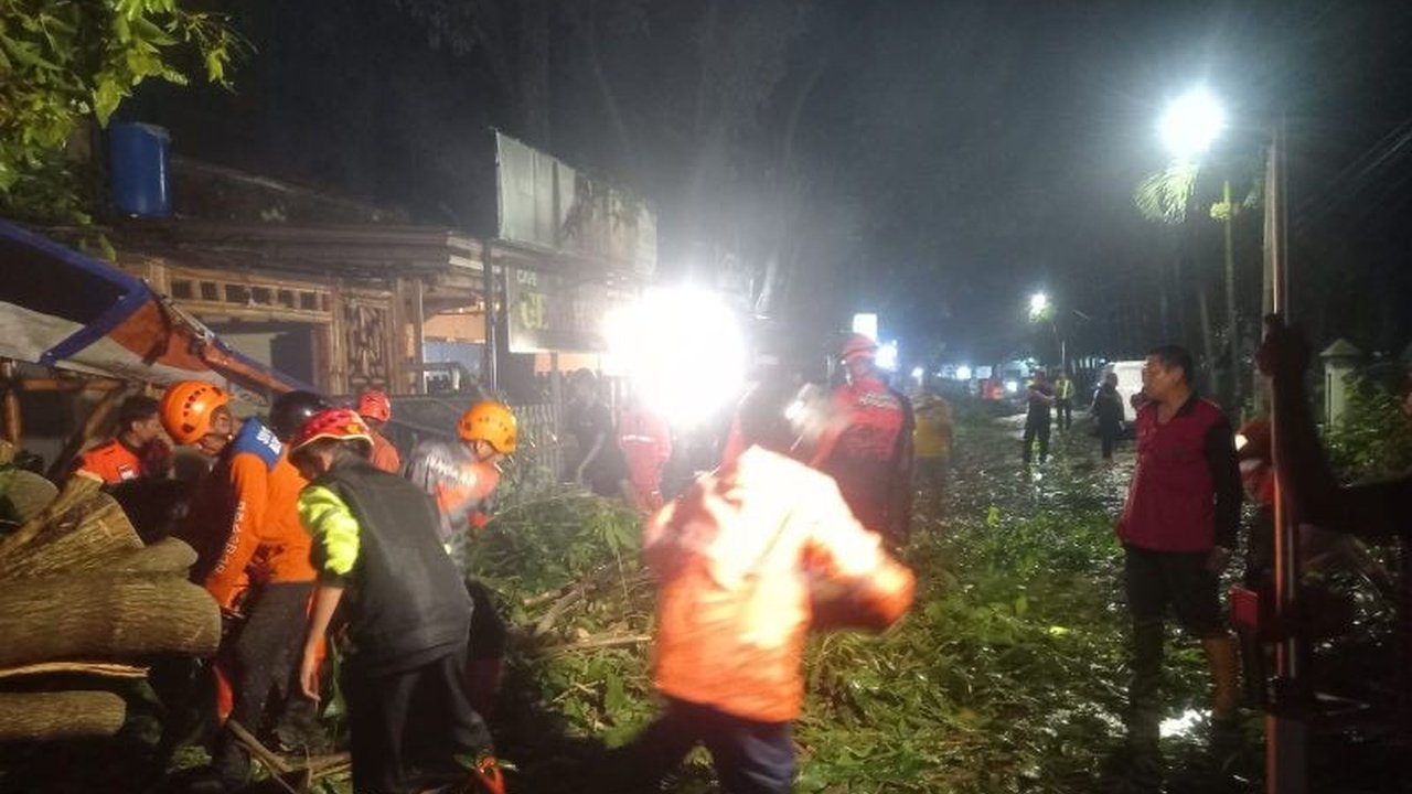 BPBD Kota Malang bergerak cepat menangani dampak cuaca ekstrem Malang, termasuk pohon tumbang dan banjir di berbagai lokasi, memastikan keamanan warga.