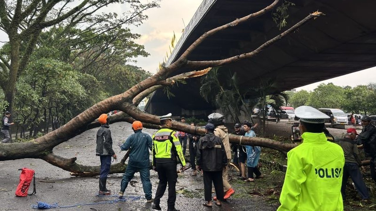 Hujan deras dan angin kencang menyebabkan 33 pohon tumbang di Bandung, mengganggu lalu lintas dan menelan korban jiwa. BPBD Bandung mengimbau warga waspada.