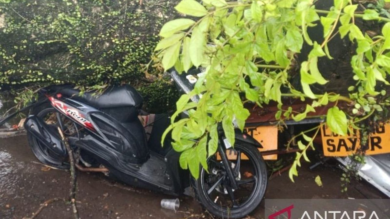 Seorang pengendara sepeda motor di Cianjur tewas tertimpa pohon tumbang saat berteduh dari hujan deras disertai angin kencang. Insiden tragis ini terjadi di Jalan Raya Cugenang dan sempat melumpuhkan arus lalu lintas.