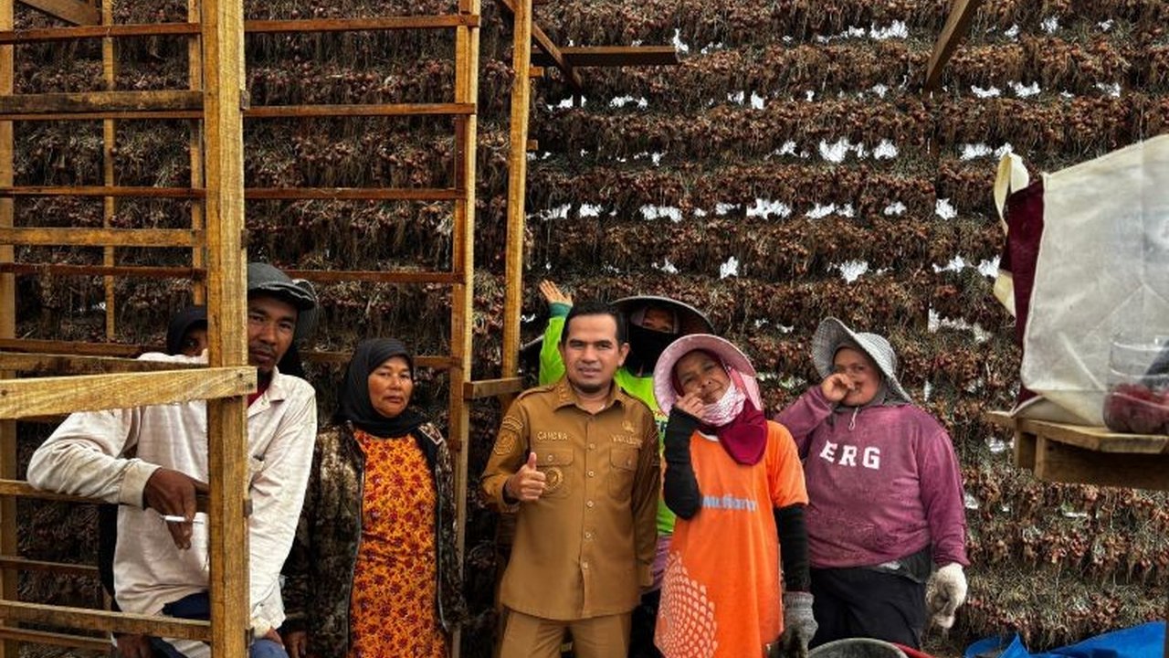 Pemerintah Kabupaten Solok aktif mendorong integrasi pertanian pariwisata Solok di Alahan Panjang, memanfaatkan potensi bawang merah dan keindahan alam untuk meningkatkan perekonomian masyarakat serta menarik investasi.