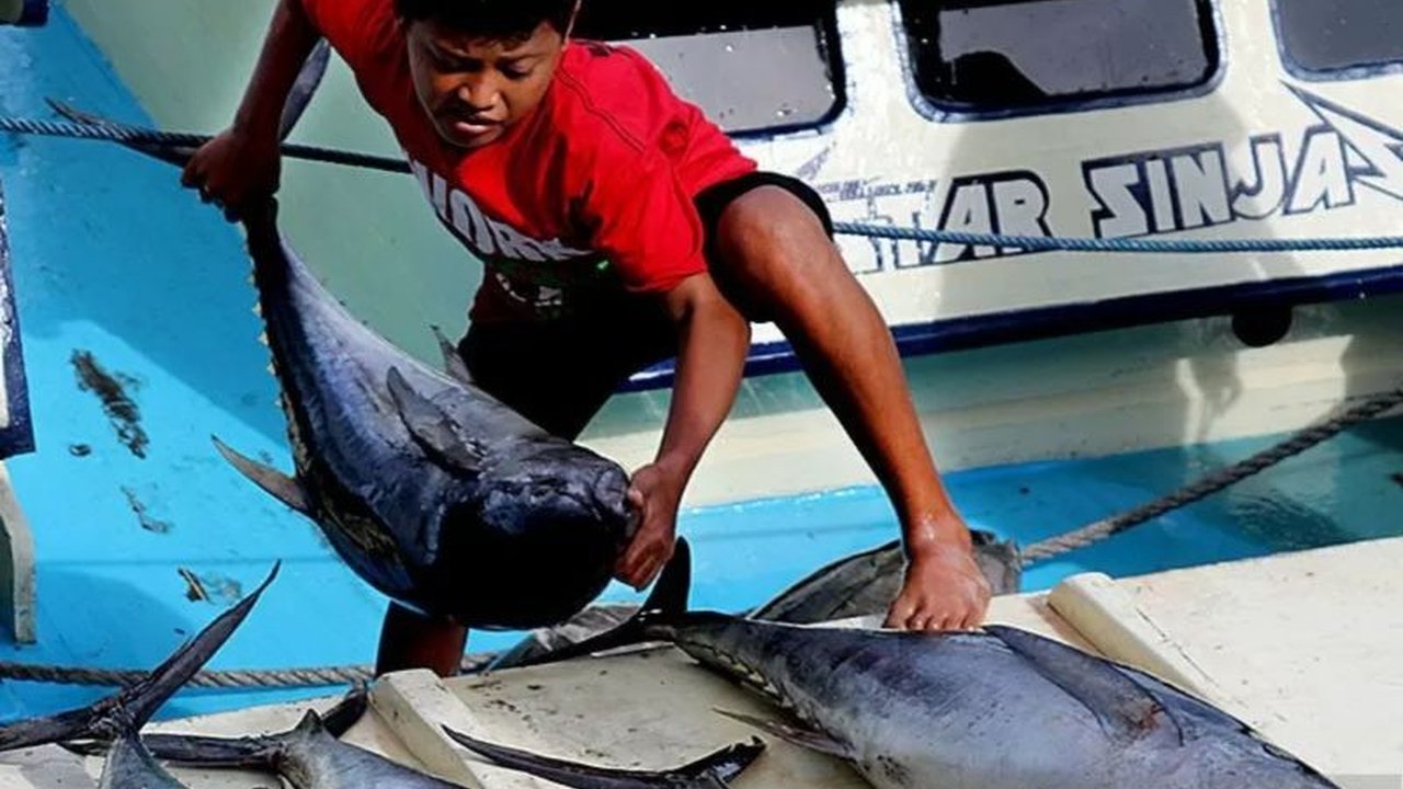 Bank Indonesia Provinsi Maluku mengungkapkan penurunan harga komoditas perikanan menjadi faktor utama Deflasi Maluku Maret 2026, didukung kondisi maritim kondusif.