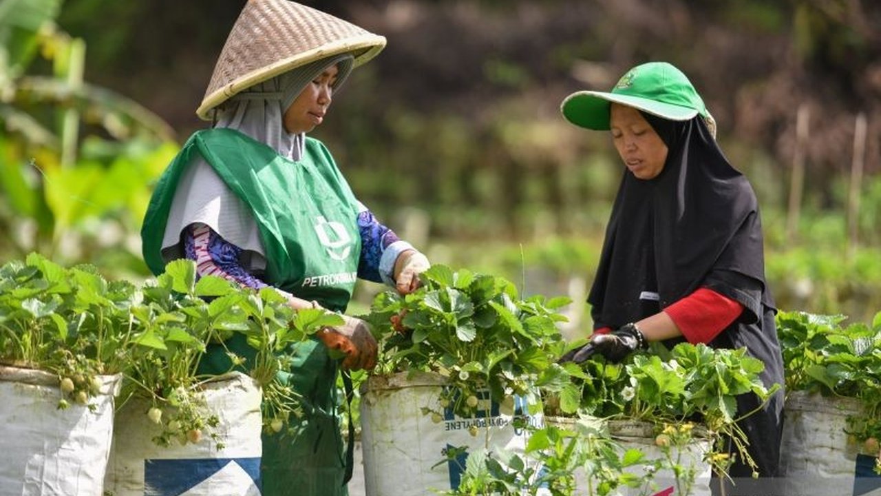 Badan Riset dan Inovasi Nasional (BRIN) menekankan pentingnya pelibatan aset komunitas dalam Peran Komunitas Pemulihan Pascabencana untuk akselerasi dan transformasi proses pemulihan yang berkelanjutan.