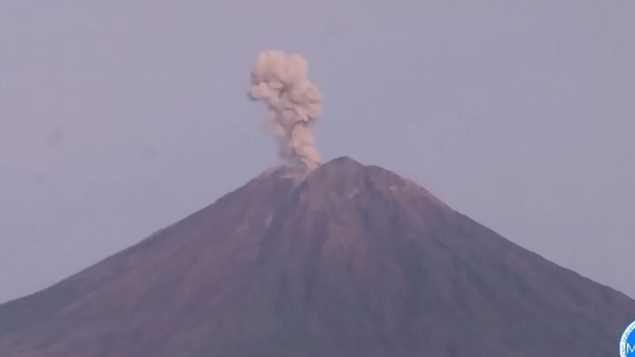 Gunung Semeru Erupsi sebanyak sembilan kali pada Sabtu lalu, dengan tinggi kolom letusan mencapai 1.000 meter di atas puncak, mendorong Pusat Vulkanologi dan Mitigasi Bencana Geologi (PVMBG) mengeluarkan rekomendasi siaga.
