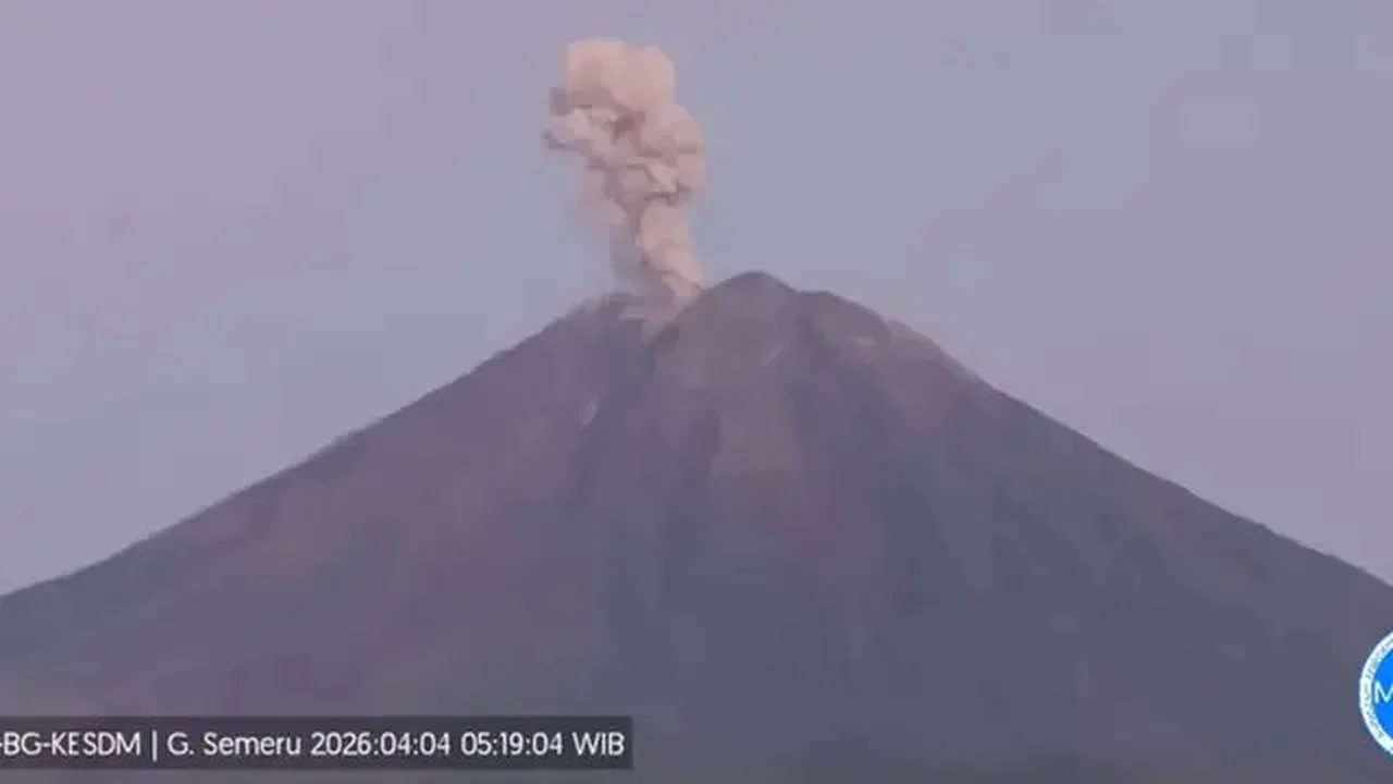 Gunung Semeru erupsi 9 kali beruntun, Sabtu pagi (4/4/2026). (Liputan6.com/Hermawan Arifianto)