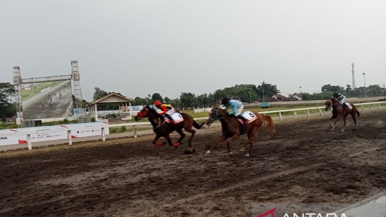 Sebanyak 138 kuda pacu dari berbagai daerah meramaikan Kejuaraan Pacuan Kuda Bantul, IHR Triple Crown Serie I & Pertiwi Cup 2026, memperebutkan total hadiah Rp580 juta dan gelar bergengsi.